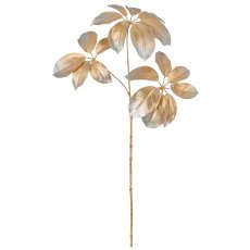 Schefflerazweig, 74cm, champagner