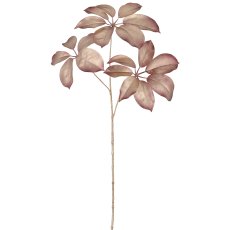 Schefflerazweig, 74cm, rosegold