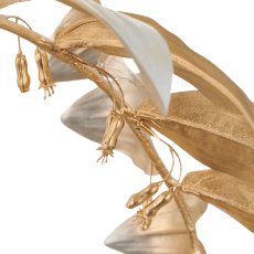 Solomon's seal, 119cm, champagne