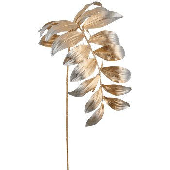 Solomon's seal, 119cm, champagne