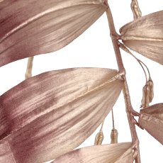 Salomonsiegel, 119cm, rosegold