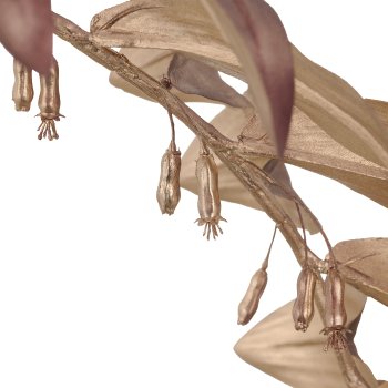 Salomonsiegel, 119cm, rosegold