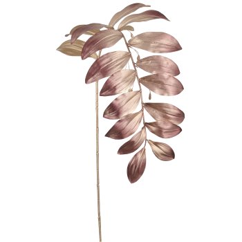 Salomonsiegel, 119cm, rosegold