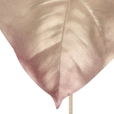 Caladium, 67cm, rosegold
