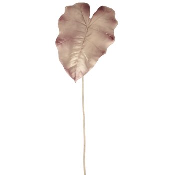 Caladium, 67cm, rosegold