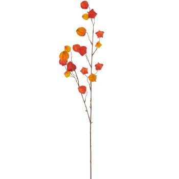 Physaliszweig, 105cm, orange