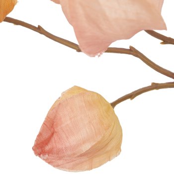 Physalis branch, 105cm, apricot
