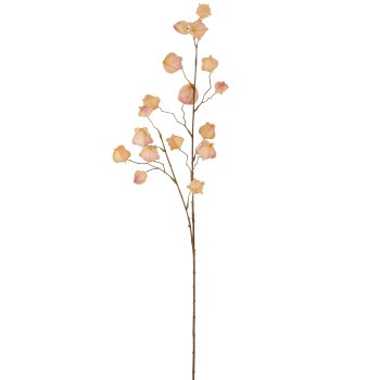 Physalis branch, 105cm, apricot