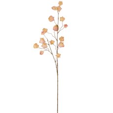 Physalis branch, 105cm, apricot