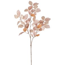 Buchenzweig, 98cm, champagner