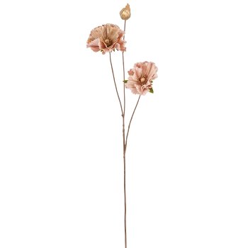 Mohnzweig x2, 77cm, champagner