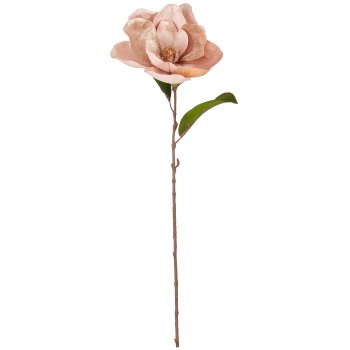 Magnolienzweig, 76cm, champagner