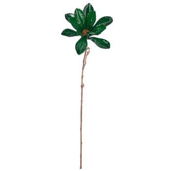 Magnolienzweig, 77cm, grün