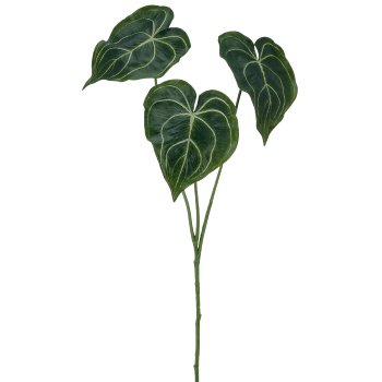 Anthurium leaf, 61cm, green