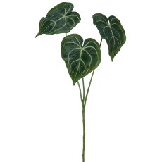 Anthurium leaf, 61cm, green