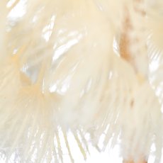 Dandelion, 72cm, white