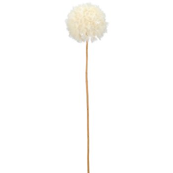 Dandelion, 72cm, white