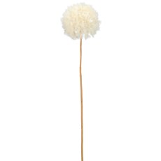 Löwenzahn, 72cm, weiß