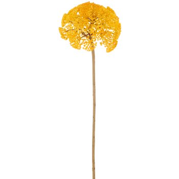 Achillea, 79cm, yellow