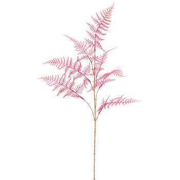 Plumosus, 88cm, pink