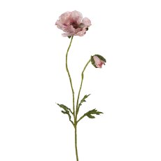 Mohn m. Knospe, 66 cm, rosa