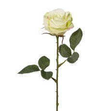 Rose, 36 cm, grün