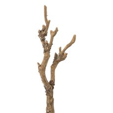 Branch with lichen, 43cm, natural,