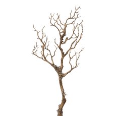 Branch with lichens, 76 cm,