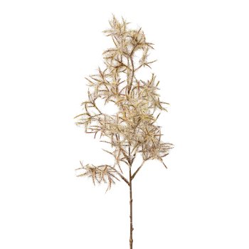 Codinuszweig, 46cm, grau,