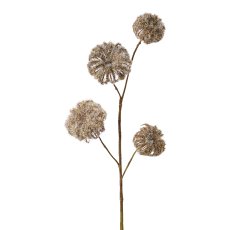 Clematis branch, 68 cm, brown,