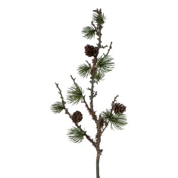 Zedernzweig mit Zapfen und Flechten, 72cm, grün,