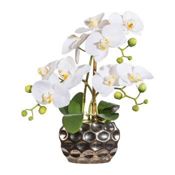Phalaenopsis x3, ca. 30cm White, In Oval Vase, Silver 13x6x9cm, Real Touch