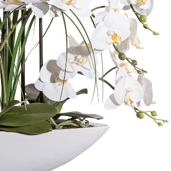 Phalaenopsis x8, ca. 70cm white, In ceramic bowl 50x15x10cm white, Real Touch