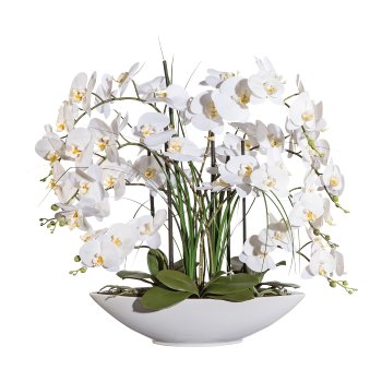 Phalaenopsis x8, ca. 70cm white, In ceramic bowl 50x15x10cm white, Real Touch