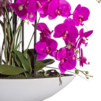 Phalaenopsis x8, ca. 70cm Purple, In ceramic bowl 50x15x10cm white, Real Touch