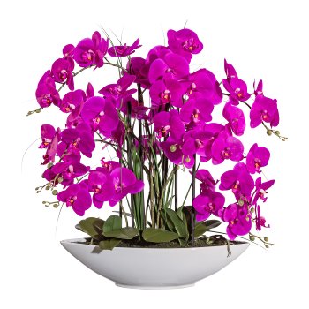 Phalaenopsis x8, ca. 70cm Purple, In ceramic bowl 50x15x10cm white, Real Touch