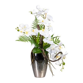Phalaenopsis Arrangement x3, ca. 70cm, White, In Ceramic Vase Silver 27x15x10cm, Real