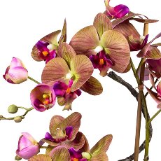 Phalaenopsis Arrangement x4, ca. 70cm, green-Purple, In ceramic Vase Brown 27x15x10cm,