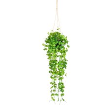 Blattbusch, ca 70cm grün, Kunststoff, im Hängetopf 11x9,5cm