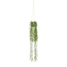 Tillandsia Aeranthos, ca. 90cm green, Plastic, In Hanging Pot 9x9cm