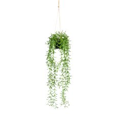 Nerifolia-Hänger, ca 70cm grün, Kunststoff, im Hängetopf 9x8cm