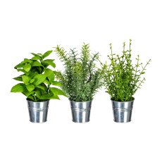 Mixed Herbs, ca. 23-26cm green, Plastic, In Zinc Pot 8x7,5cm, Rosemary, Thyme,