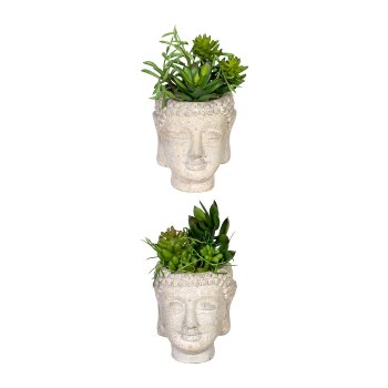Sukkulentenarrangement, ca 16cm, Kunststoff, grün, 2fa sort., im Zementtopf Buddha