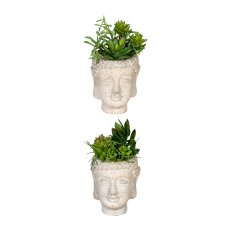 Sukkulentenarrangement, ca 16cm, Kunststoff, grün, 2fa sort., im Zementtopf Buddha