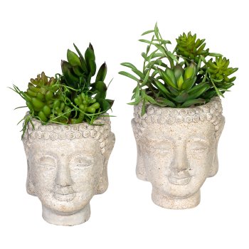 Sukkulentenarrangement, ca 16cm, Kunststoff, grün, 2fa sort., im Zementtopf Buddha