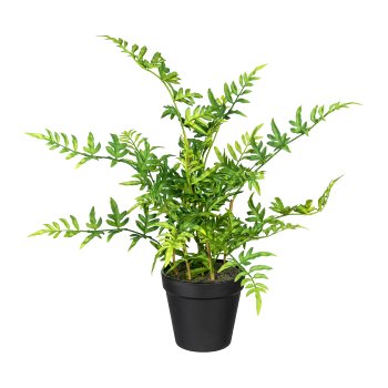 Japanese Fern, ca. 40cm, plastic, green, in pot 11x10cm, with soil