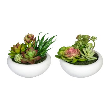 Succulent Arrangement ca. 12 cm, 2 asst., In Cement Pot 13x6cm Grey, Plastic,