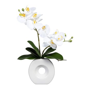 Phalaenopsis x2, ca. 35cm, white, In ceramic Vase white 13x12.5x4cm, Real Touch