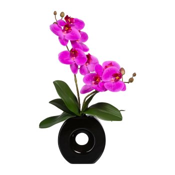 Phalaenopsis x2, ca. 35cm, Purple, In Ceramic Vase Black 13x12,5x4cm, Real Touch