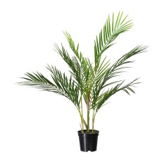 Indoor palm tree x9,ca 70cm